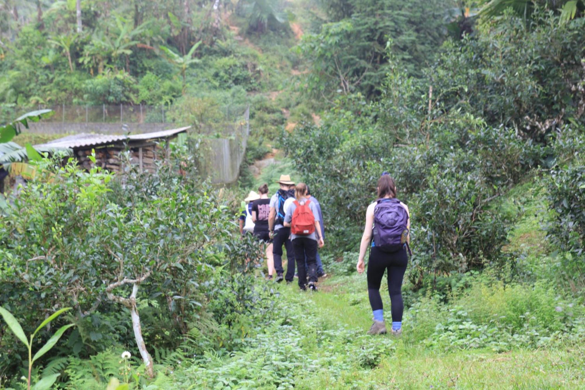 Thavill Retreat Hagiang Apartment Ha Giang Exterior photo