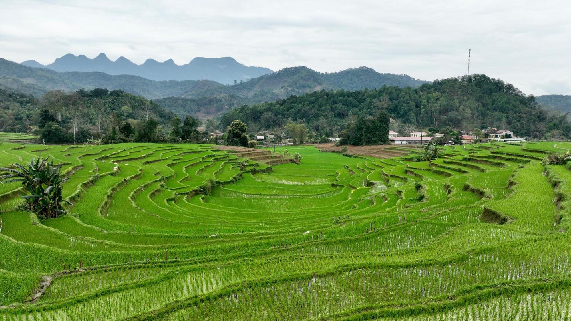 Thavill Retreat Hagiang Apartment Ha Giang Exterior photo