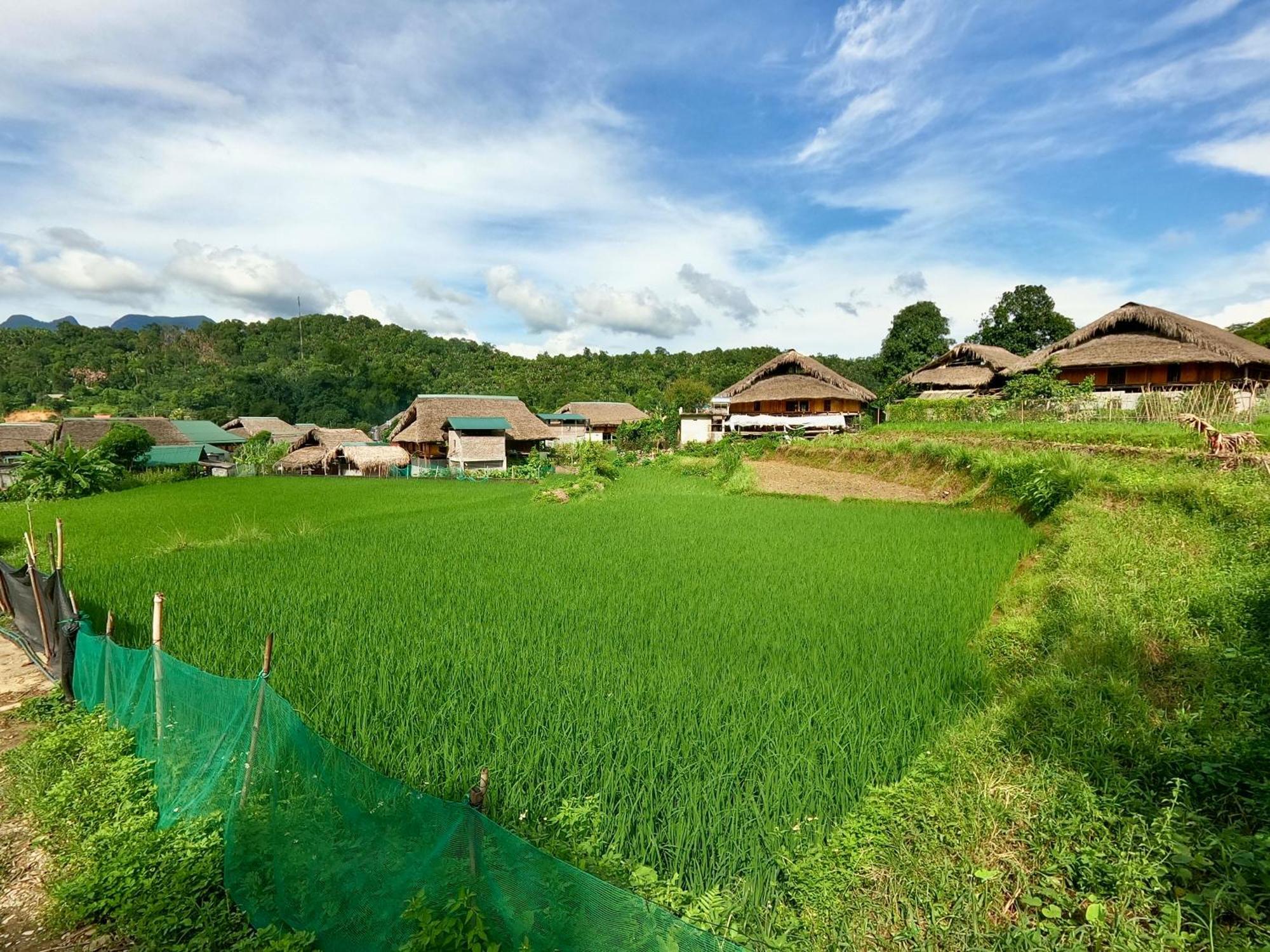 Thavill Retreat Hagiang Apartment Ha Giang Exterior photo